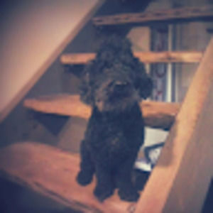 Meet your Posher, Brad